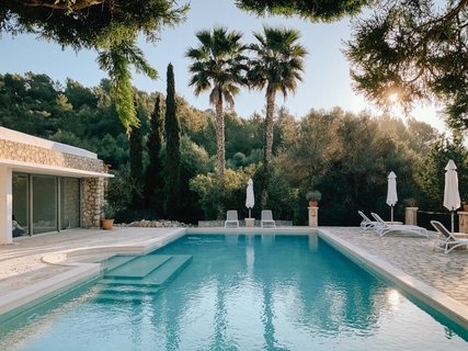 Der Pool unter Palmen