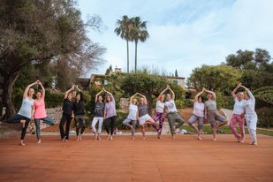 Yoga Gruppe übt gemeinsam Baum Asanas